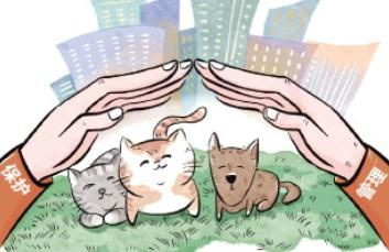 热点生活 第8页