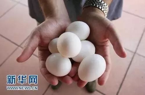港澳新闻 第4页