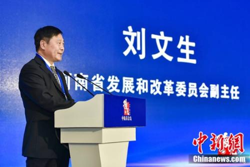 海南省发改委办公室副主任海南省发改委办公室副主任，角色、职责与影响力